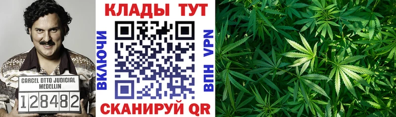 Виды наркотиков купить Зеленокумск Амфетамин  Кокаин  Меф  ГАШ  Alpha PVP 