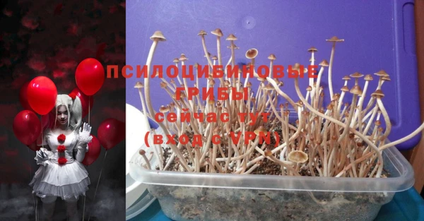 стафф Ахтубинск