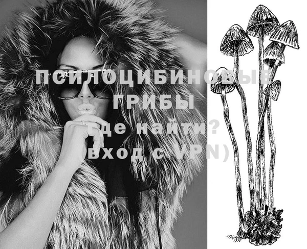 стафф Ахтубинск