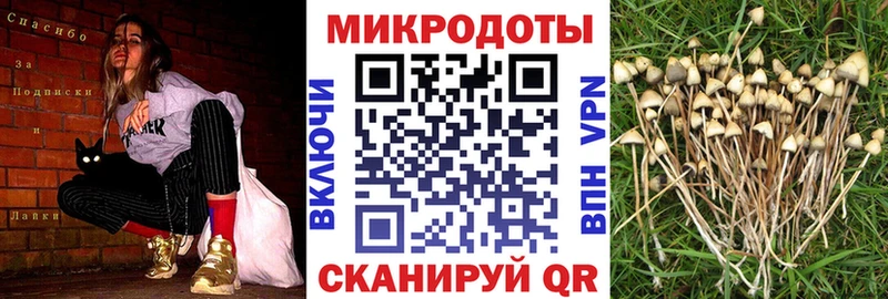 Галлюциногенные грибы прущие грибы  Зеленокумск 