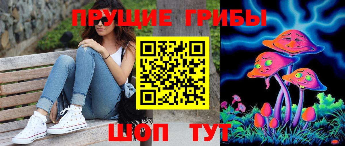 Псилоцибиновые грибы Cubensis Зеленокумск