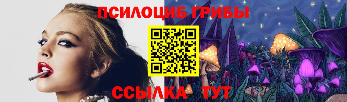 Зеленокумск  Псилоцибиновые грибы Cubensis  Вход с VPN 